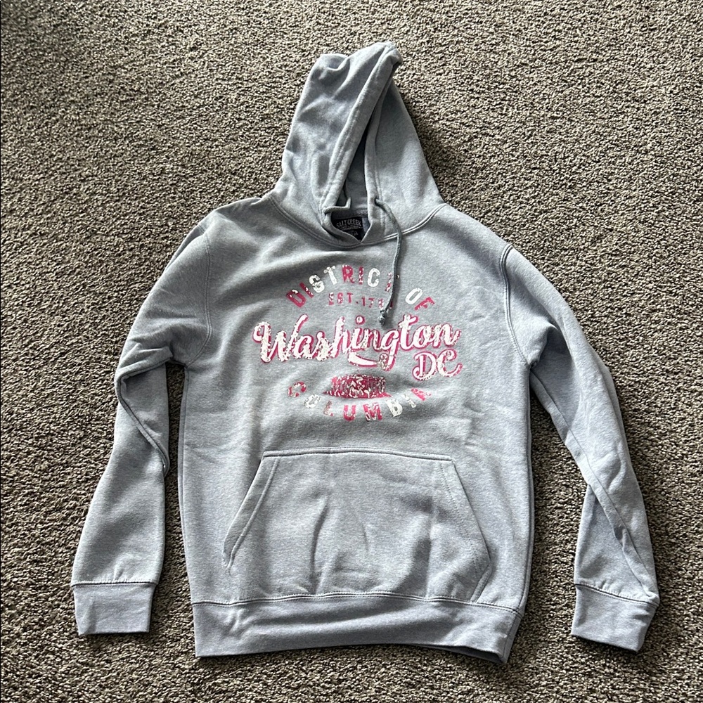 Gray Washington DC Hoodie